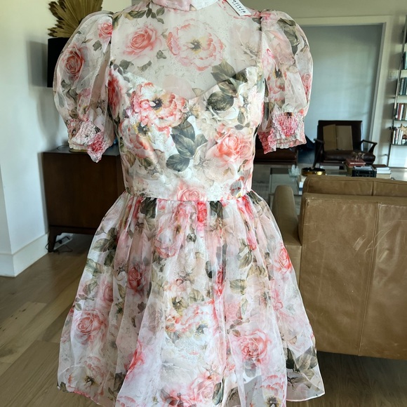 Alice + Olivia Dresses & Skirts - Alice + Olivia Pink and Green Floral Dress